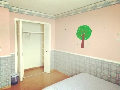 EdgemontNW big upstairs room incl utility share bath w1 EZtransi