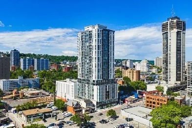 Modern 1, 2, & 3 Bedroom Rentals - 49 Walnut St S Hamilton