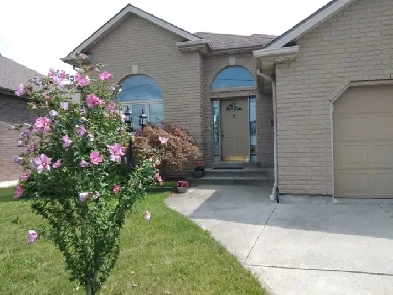 Large room for rent near St.Clair College and all amenites