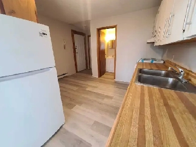 Trent hills Hastings downtown 2  bedroom apartment $1350   hydro