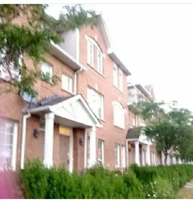 Scar Main Floor One Bedroom Individual apartment for rent