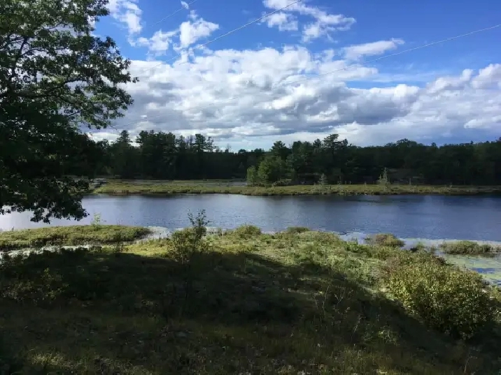 Three Waterfront Properties near Godfrey, ON