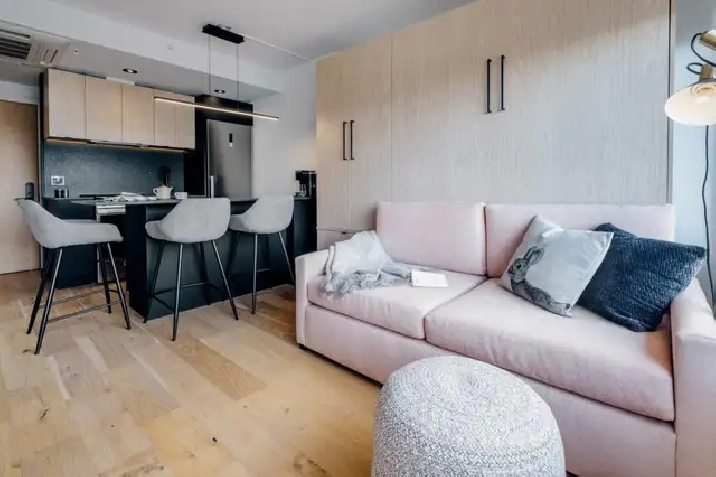 Loft entièrement meublé à louer Saint-Jean-Baptiste juillet 2026