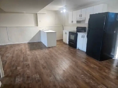 2 Bedroom basement/bi-level suite in lakeview