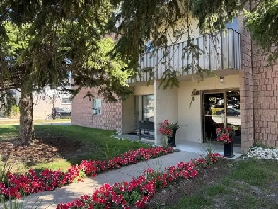 1 Bedroom Suite in Stratford - All inclusive