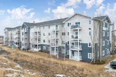 Beautiful 2 Bed 1 Bath - Sylvan Lake