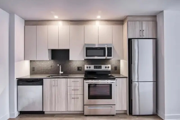 appartement rénové 3 1/2 au Plateau, 11e étage - ID 2709