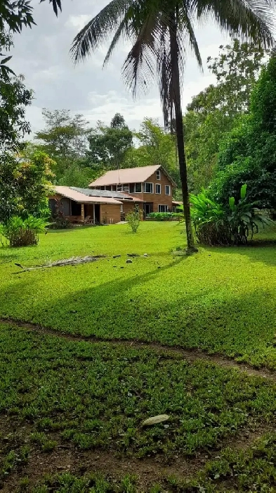 Land for Sale in Belize, 107 acres
