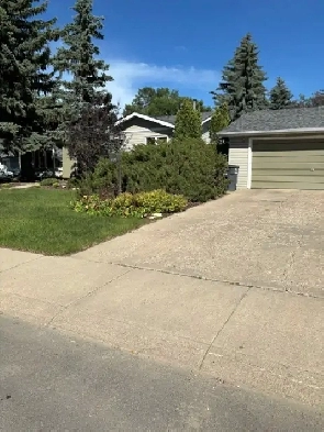 2 Bedroom Bright Furnished Basement