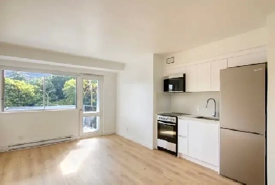 renovated studio apartment in the Plateau - ID 3908