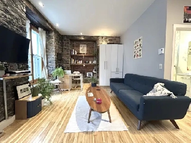 Loft studio entièrement meublé à louer Vieux-Québec juillet 2026