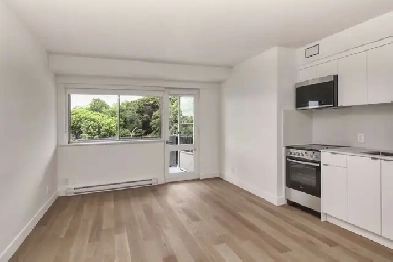 Renovated studio apartment in Outremont - ID 3489