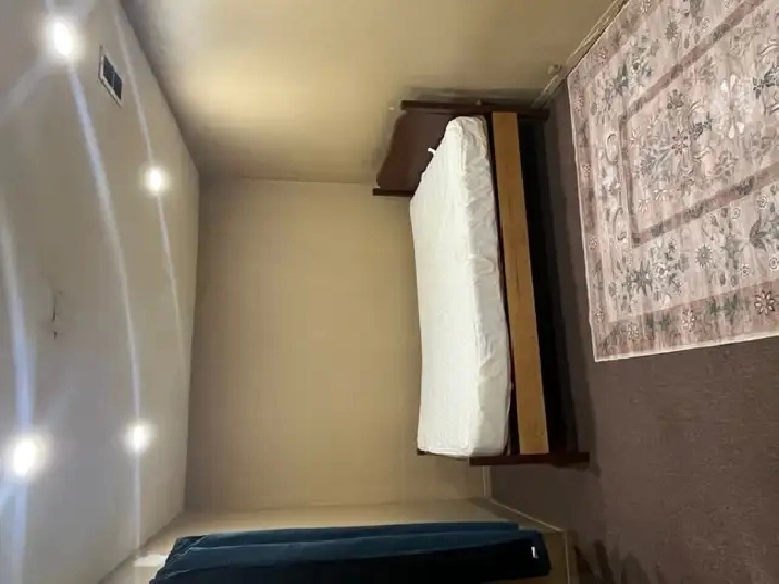 1-Bedroom Basement Apartment @ Sheppard/Morningside
