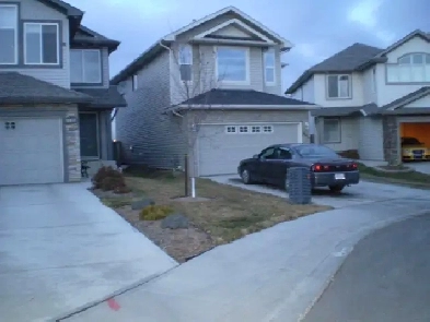 Basement for rent Terwillegar