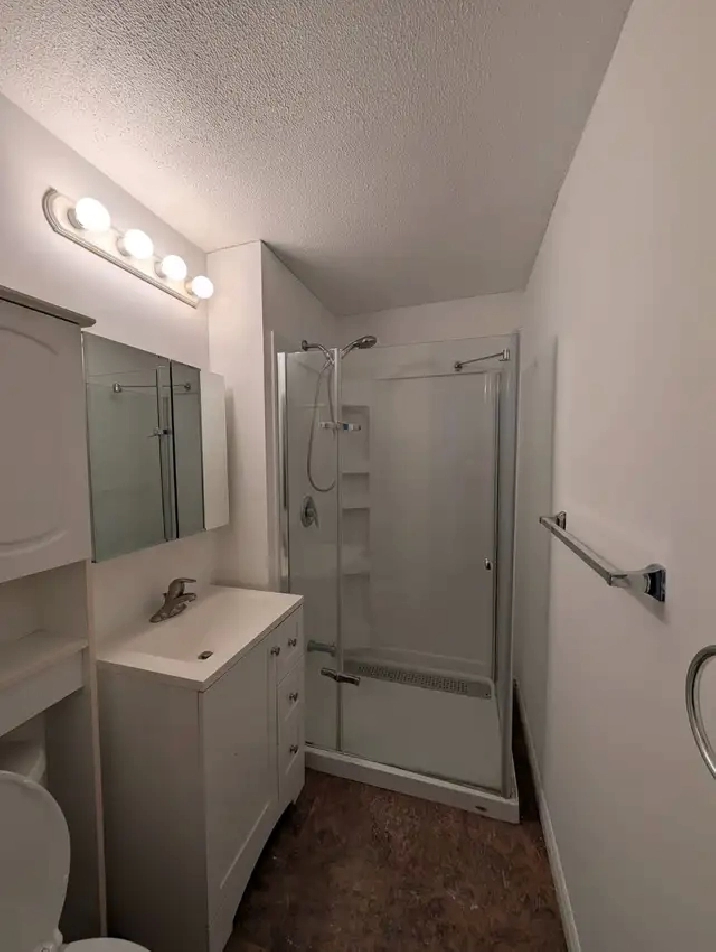 ONE BEDROOM BASEMENT FOR RENT - SCARBOROUGH