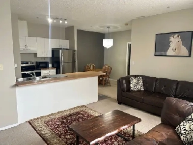Downtown Edmonton – Spacious Fully Furnished Condo