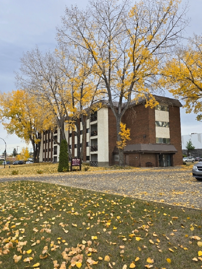 Spacious Two Bedroom on the South Hill