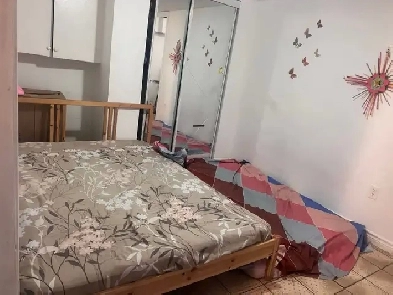 RENT IMMEDIATELY ( WALKOUT 1 BHK NSMT) IN MALTON