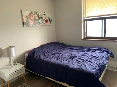 Room for Rent in Scarborough-Bright, Cozy, and Convenient