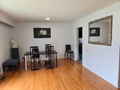 Students & Professionals: Large, Clean Room Near Carleton U.