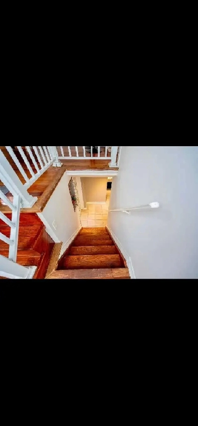 Basement and rooms for rent