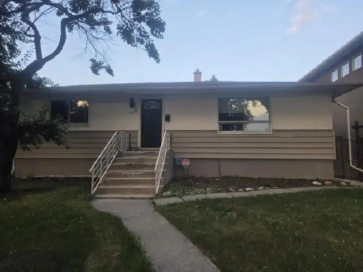 Looking for a roommate