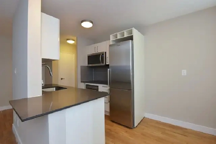 renovated one bedroom, King and Jameson - ID 4678