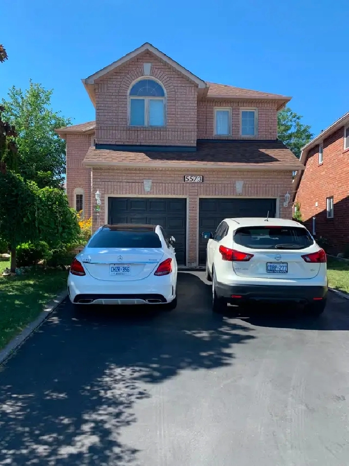 1 Bedroom Basement Apartment