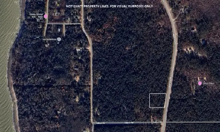Stunning 1.09acre property w/ privacy & mature trees