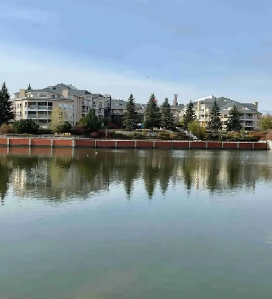 Lakeview 2 Bed 2 Bath Condo