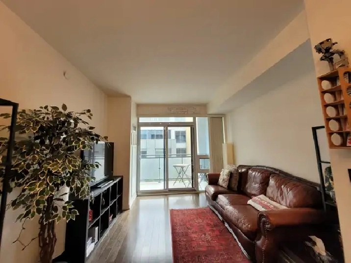 Large 2 Bdrm/2 Bath Condo For Rent @ 460 Adelaide / St Lawrence