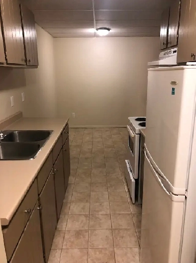Beautiful 2 Bedroom spacious suite- Cat friendly