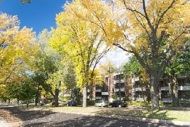 3 1/2 Ste-Foy - Tout inclus - près du cégep Garneau - octobre