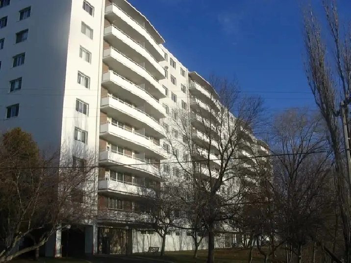 1 Bedroom Zulich Managed Apt  Available October 1st