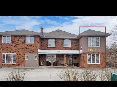 Bachelor Studio Apartment for Rent in Vaughan (Concord)
