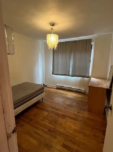 chambre en colocation