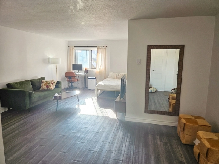 Studio 1 Bath - 65 Rue Sherbrooke Est