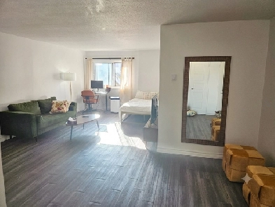 Studio 1 Bath - 65 Rue Sherbrooke Est