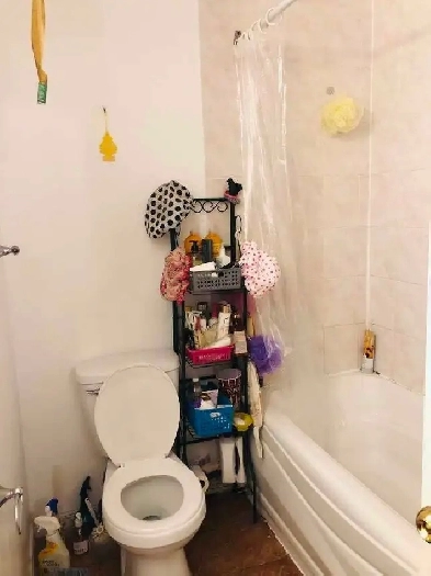 A bedroom for rent @Warden/Finch