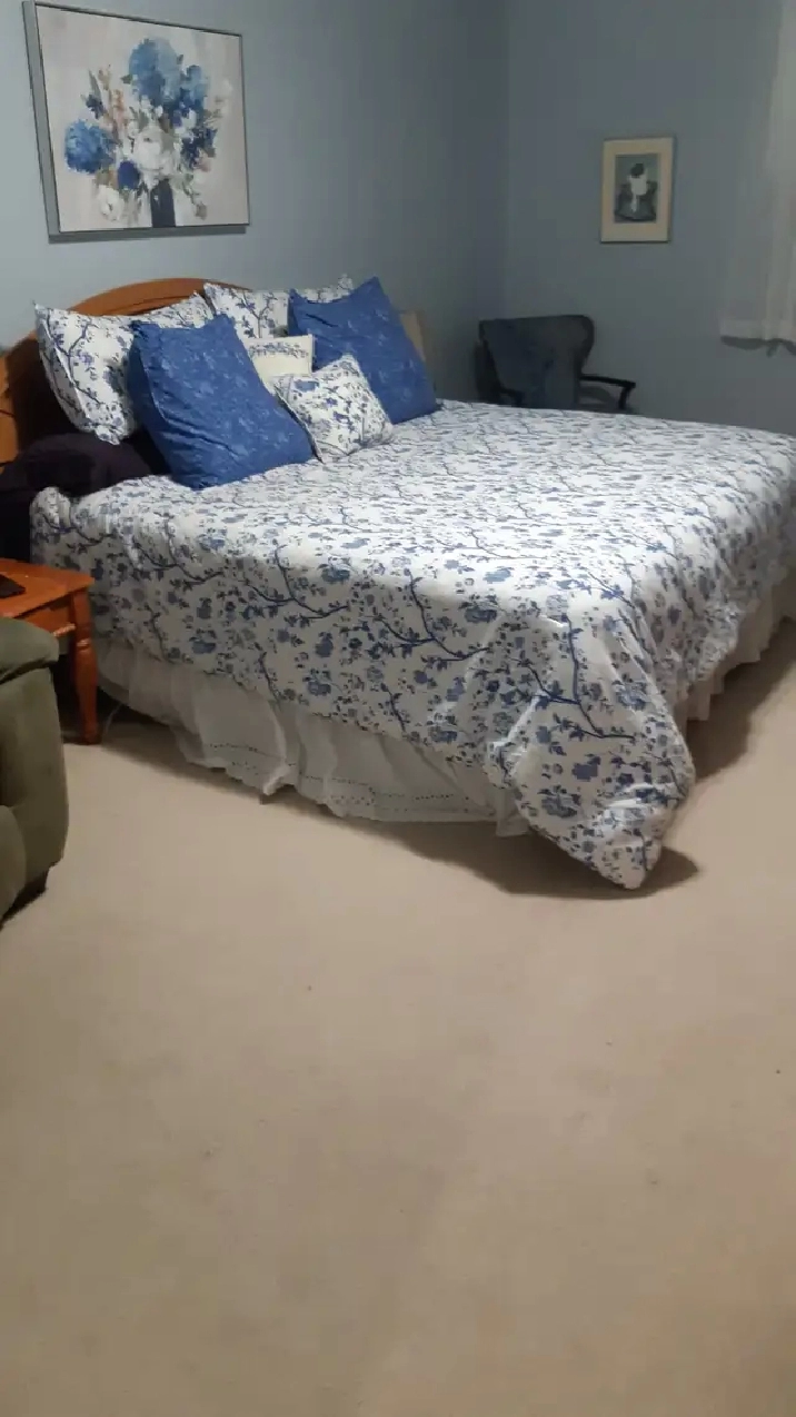Fabulous Roommate/ Large room to rent/ Apt to share!