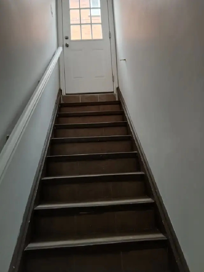 one private room in a basement Apartment
