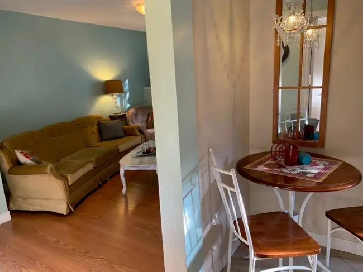 Furnished Heat Lights Internet Downtown 2 bedroom Apartment !