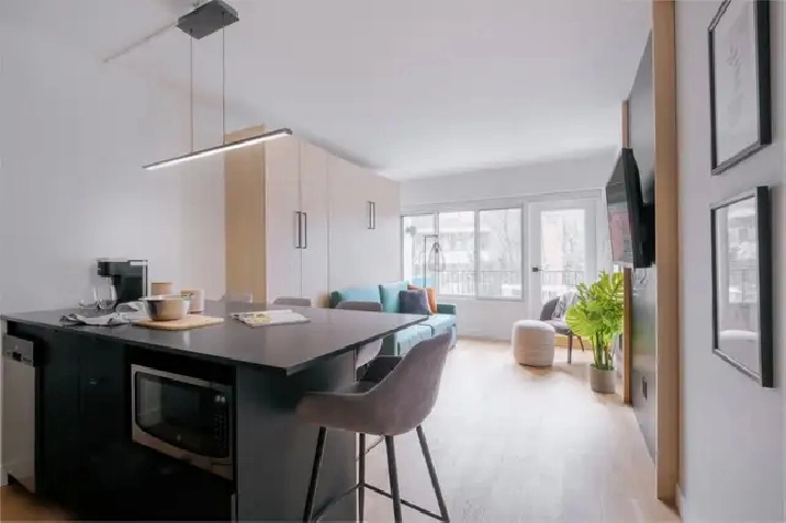 Loft entièrement meublé à louer Saint-Jean-Baptiste juillet 2026