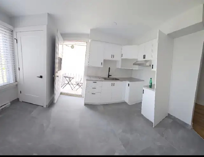 Renové 4 et demi, 3 chambres fermer, 10 minute de Metro Papineau