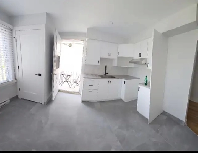 Renové 4 et demi, 3 chambres fermer, 10 minute de Metro Papineau