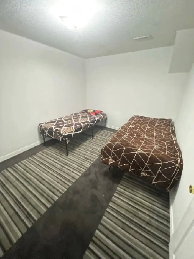 Full basement for rent Brampton