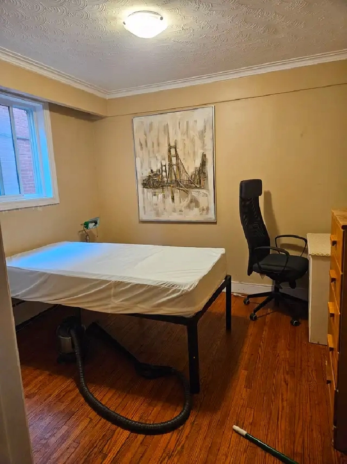 Furnished room in 3bdrm apt main floor - CEDARVALE LRT