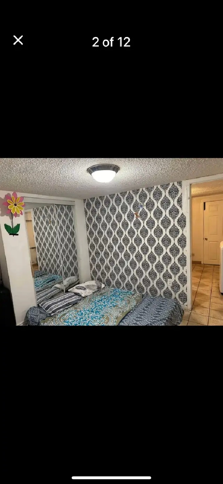 WALKOUT BASEMENT( 1 BHK) FOR RENT IN MALTON