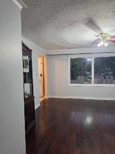 House for rent