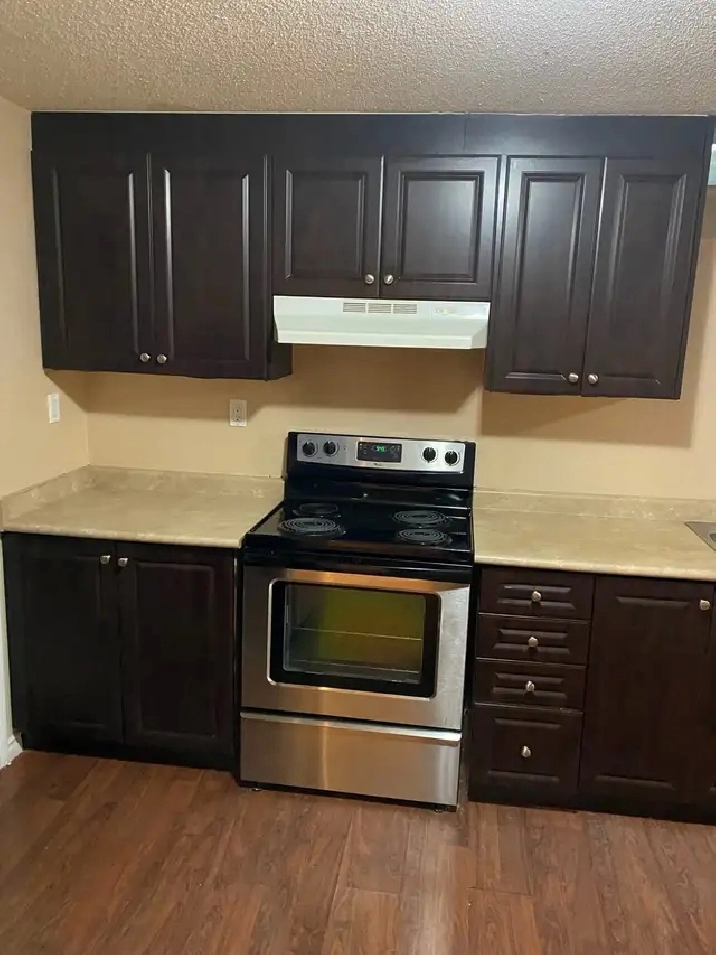 ONE BEDROOM BASEMENT APARTMENT- MISSISSAUGA